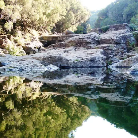 펜션 Elegant House In Calheta, Sea View