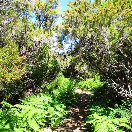 Tatil Evi Elegant House In Calheta, Sea View *