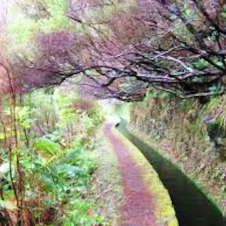 Elegant House In Calheta, Sea View